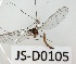  ( - JS-D0105)  @11 [ ] by-nc (2021) Juha Salokannel Unspecified
