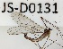  ( - JS-D0131)  @11 [ ] by-nc (2021) Juha Salokannel Unspecified