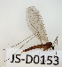  ( - JS-D0153)  @11 [ ] by-nc (2021) Juha Salokannel Unspecified