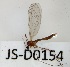  ( - JS-D0154)  @11 [ ] by-nc (2021) Juha Salokannel Unspecified