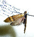  ( - KOZ196)  @11 [ ] CreativeCommons - Attribution Non-Commercial (2012) Marko Mutanen University of Oulu