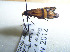  ( - KOZ199)  @11 [ ] CreativeCommons - Attribution Non-Commercial (2012) Marko Mutanen University of Oulu