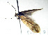  ( - KOZ207)  @12 [ ] CreativeCommons - Attribution Non-Commercial (2014) Marko Mutanen University of Oulu