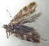  ( - KOZ209)  @12 [ ] CreativeCommons - Attribution Non-Commercial (2014) Marko Mutanen University of Oulu