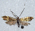  ( - KOZ309)  @11 [ ] CreativeCommons - Attribution Non-Commercial (2015) Marko Mutanen University of Oulu