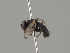  ( - KWi-1899)  @11 [ ] by-nc (2018) Marko Mutanen University of Oulu