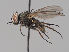  ( - KWi-1910)  @11 [ ] by-nc (2018) Marko Mutanen University of Oulu