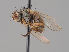  ( - KWi-1911)  @11 [ ] by-nc (2018) Marko Mutanen University of Oulu