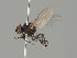  ( - KWi-1971)  @11 [ ] by-nc (2018) Marko Mutanen University of Oulu