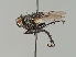  ( - KWi-1978)  @11 [ ] by-nc (2018) Marko Mutanen University of Oulu