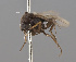  ( - KWi-2185)  @11 [ ] by-nc (2024) Erkka Laine University of Oulu
