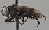  ( - KWi-2207)  @11 [ ] by-nc (2024) Erkka Laine University of Oulu