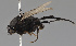  ( - KWi-2208)  @11 [ ] by-nc (2024) Erkka Laine University of Oulu