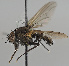  ( - KWi-2212)  @11 [ ] by-nc (2024) Erkka Laine University of Oulu