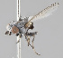  ( - KWi-2215)  @11 [ ] by-nc (2024) Erkka Laine University of Oulu