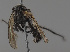  ( - KWi-2218)  @11 [ ] by-nc (2024) Erkka Laine University of Oulu