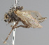  ( - KWi-2240)  @11 [ ] by-nc (2024) Erkka Laine University of Oulu