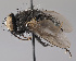  ( - KWi-2251)  @11 [ ] by-nc (2024) Erkka Laine University of Oulu