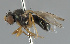 ( - KWi-2266)  @11 [ ] by-nc (2024) Erkka Laine University of Oulu
