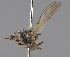 ( - KWi-2267)  @11 [ ] by-nc (2024) Erkka Laine University of Oulu