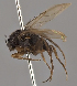  ( - KWi-2354)  @11 [ ] by-nc (2024) Erkka Laine University of Oulu