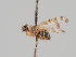  ( - KWi-1006)  @11 [ ] CreativeCommons - Attribution Non-Commercial (2018) Marko Mutanen University of Oulu