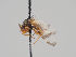  ( - KWi-1007)  @11 [ ] CreativeCommons - Attribution Non-Commercial (2018) Marko Mutanen University of Oulu