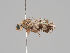  ( - KWi-1011)  @11 [ ] CreativeCommons - Attribution Non-Commercial (2018) Marko Mutanen University of Oulu