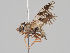  ( - KWi-1015)  @11 [ ] CreativeCommons - Attribution Non-Commercial (2018) Marko Mutanen University of Oulu