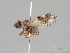  ( - KWi-1016)  @11 [ ] CreativeCommons - Attribution Non-Commercial (2018) Marko Mutanen University of Oulu