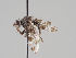  ( - KWi-1019)  @11 [ ] CreativeCommons - Attribution Non-Commercial (2018) Marko Mutanen University of Oulu