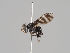  ( - KWi-1021)  @11 [ ] CreativeCommons - Attribution Non-Commercial (2018) Marko Mutanen University of Oulu