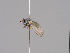  ( - KWi-1030)  @11 [ ] CreativeCommons - Attribution Non-Commercial (2018) Marko Mutanen University of Oulu