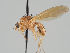 ( - KWi-1051)  @11 [ ] CreativeCommons - Attribution Non-Commercial (2018) Marko Mutanen University of Oulu