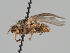  ( - KWi-1053)  @11 [ ] CreativeCommons - Attribution Non-Commercial (2018) Marko Mutanen University of Oulu
