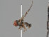  ( - KWi-1064)  @11 [ ] CreativeCommons - Attribution Non-Commercial (2018) Marko Mutanen University of Oulu