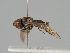  ( - KWi-1065)  @11 [ ] CreativeCommons - Attribution Non-Commercial (2018) Marko Mutanen University of Oulu