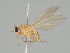  ( - KWi-1077)  @11 [ ] CreativeCommons - Attribution Non-Commercial (2018) Marko Mutanen University of Oulu