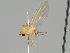  ( - KWi-1078)  @11 [ ] CreativeCommons - Attribution Non-Commercial (2018) Marko Mutanen University of Oulu