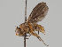  ( - KWi-1100)  @11 [ ] CreativeCommons - Attribution Non-Commercial (2018) Marko Mutanen University of Oulu