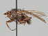  ( - KWi-1104)  @11 [ ] CreativeCommons - Attribution Non-Commercial (2018) Marko Mutanen University of Oulu