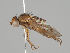  ( - KWi-1110)  @11 [ ] CreativeCommons - Attribution Non-Commercial (2018) Marko Mutanen University of Oulu