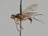  ( - KWi-1112)  @11 [ ] CreativeCommons - Attribution Non-Commercial (2018) Marko Mutanen University of Oulu