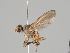  ( - KWi-1119)  @11 [ ] CreativeCommons - Attribution Non-Commercial (2018) Marko Mutanen University of Oulu