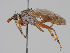  ( - KWi-1130)  @11 [ ] CreativeCommons - Attribution Non-Commercial (2018) Marko Mutanen University of Oulu