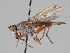  ( - KWi-1131)  @11 [ ] CreativeCommons - Attribution Non-Commercial (2018) Marko Mutanen University of Oulu
