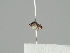  ( - KWi-1169)  @11 [ ] CreativeCommons - Attribution Non-Commercial (2018) Marko Mutanen University of Oulu