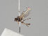  ( - KWi-1180)  @11 [ ] CreativeCommons - Attribution Non-Commercial (2018) Marko Mutanen University of Oulu