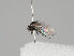  ( - KWi-1188)  @11 [ ] CreativeCommons - Attribution Non-Commercial (2018) Marko Mutanen University of Oulu