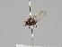  ( - KWi-1189)  @11 [ ] CreativeCommons - Attribution Non-Commercial (2018) Marko Mutanen University of Oulu